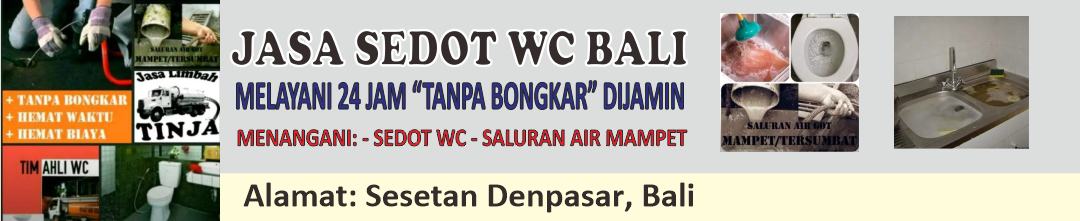 spanduk jasa sedot wc bali